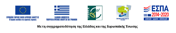 Με τη συγχρηματοδότηση της Ελλάδας και της Ευρωπαϊκής Ένωσης